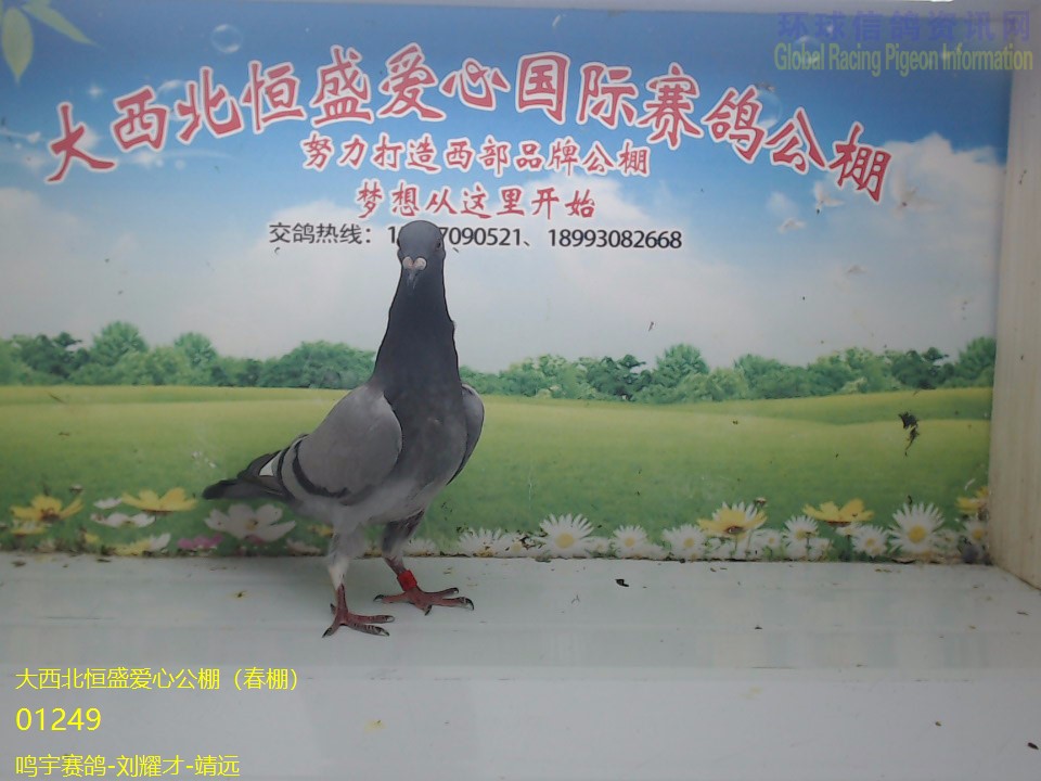 ��������-��ҫ��-��Զ����