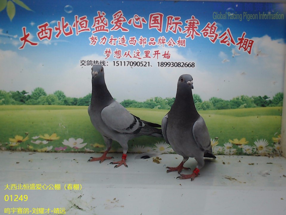 ��������-��ҫ��-��Զ����