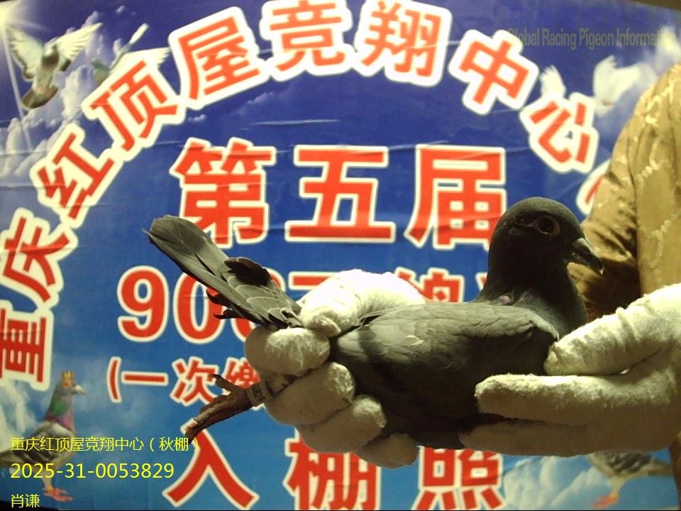 Фǫ