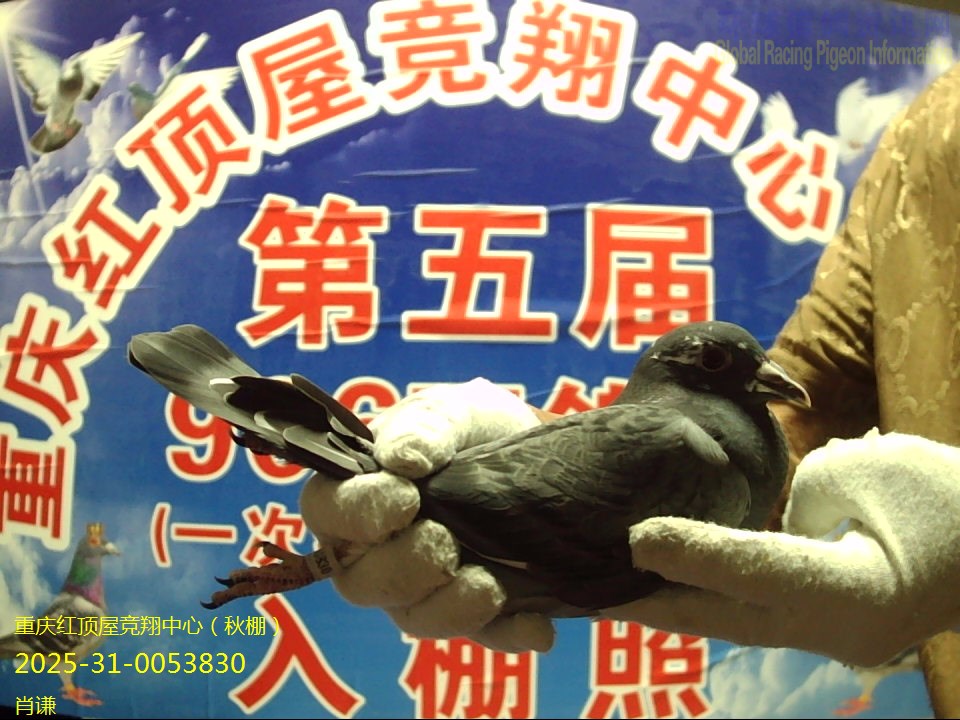 Фǫ