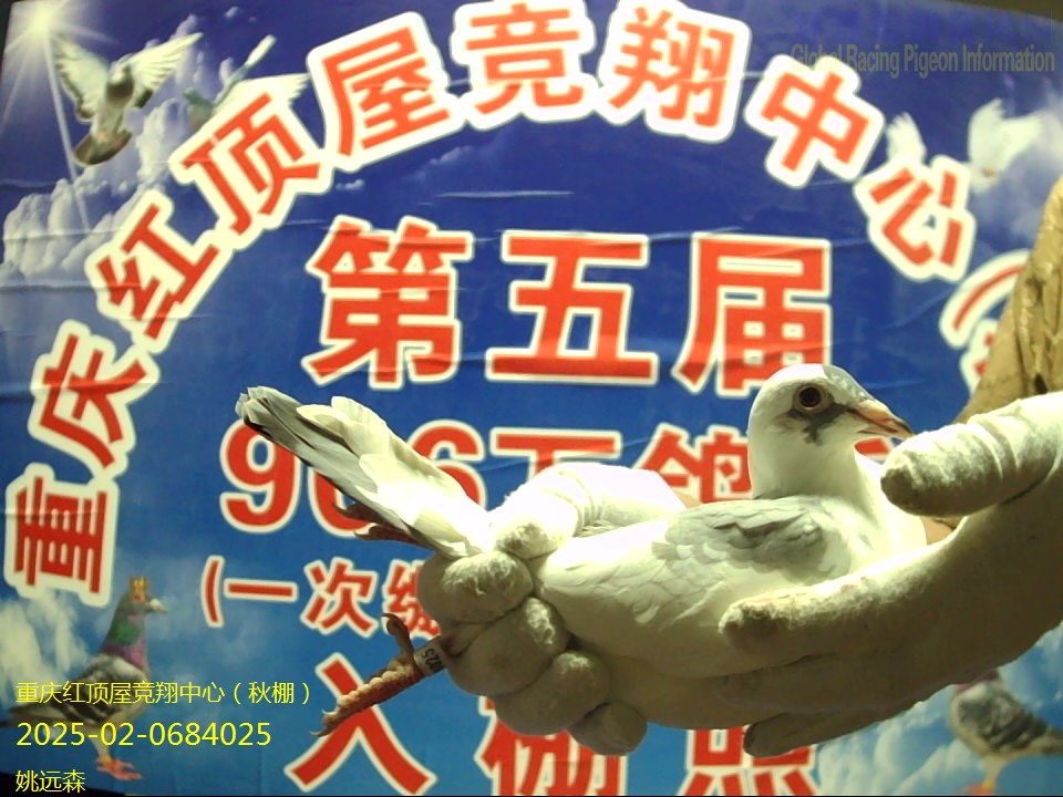 ҦԶɭ